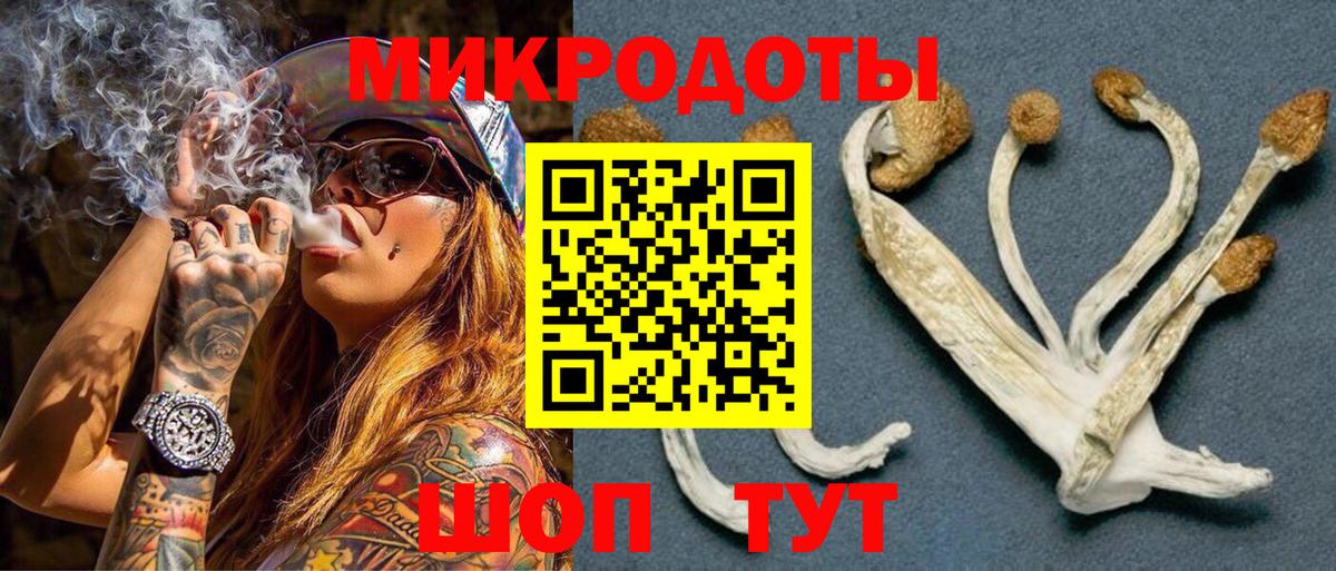 Галлюциногенные грибы Cubensis  Вход с VPN  Гай 